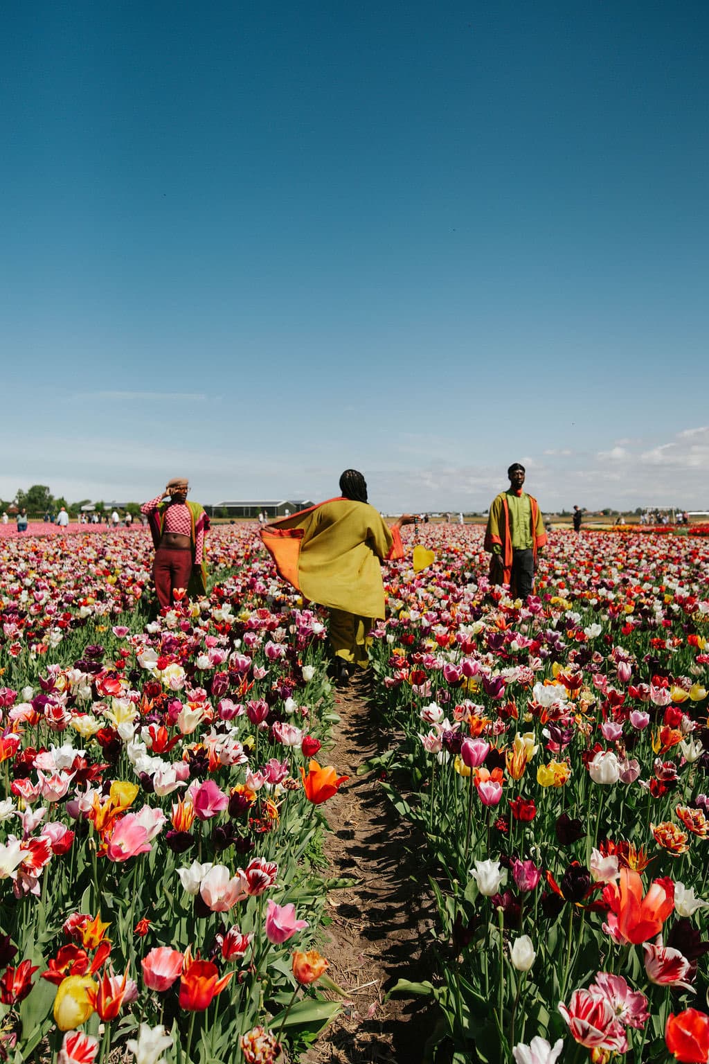 Liquid Lemn crew walking through Dutch tulip fields